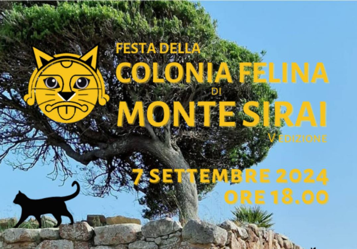 Festa della colonia felina di Monte Sirai - V edizione